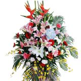 ϴʻٵ